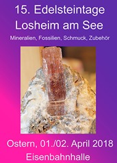 Flyer 2018 Losheim