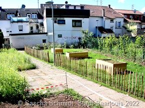 Stadtteilgarten Roden_3285